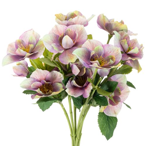 Kunstblume Christrose Bund mit violetten Blüten 35cm 6St kaufen | Floristik24.de
