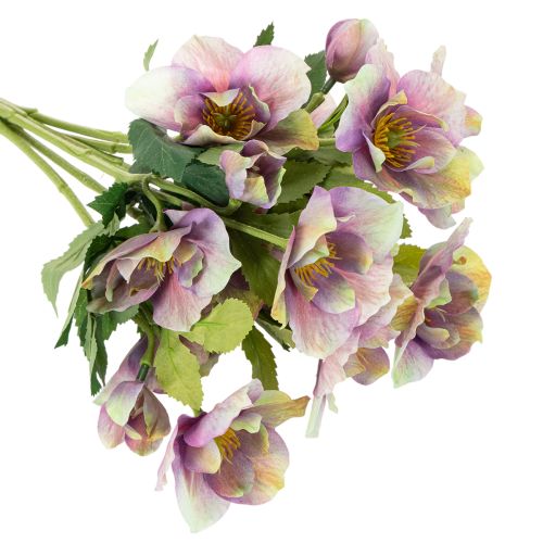 Kunstblume Christrose Bund mit violetten Blüten 35cm 6St | Floristik24.de