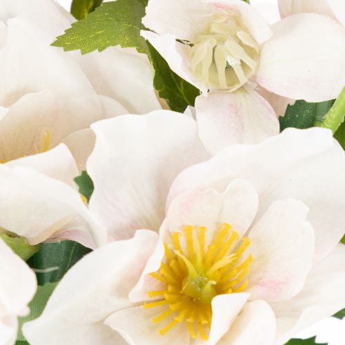 Kunstblume Christrose Bund Blumenstrauß Weihnachten 35cm 6St | Floristik24.de