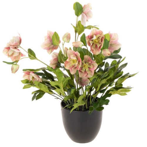 Helleborus künstlich Topfpflanze Christrose für Wohnraumdeko 50cm