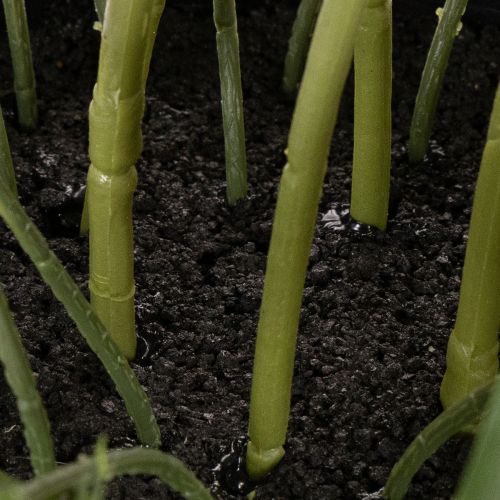 Helleborus künstlich Topfpflanze Christrose für Wohnraumdeko 50cm | Floristik24.de