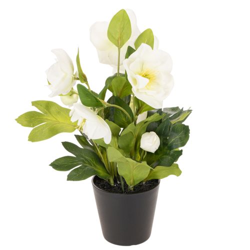 Christrose künstlich Topfblume Tischdeko 34cm | Floristik24.de