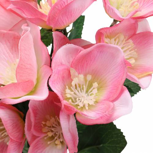 Artikel Blumenstrauß Christrosen Rosa 29cm 4St