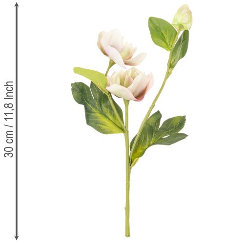 Christrose Künstliche Blumen Dekoration 30cm Bund mit 4St | Floristik24.de