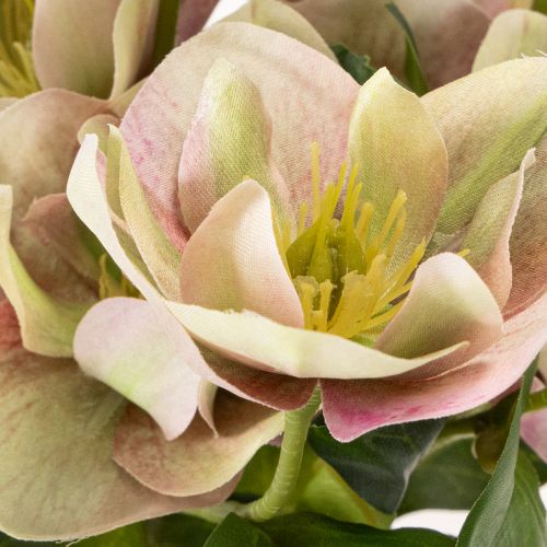 Christrose Künstliche Blumen Dekoration 30cm Bund mit 4St | Floristik24.de