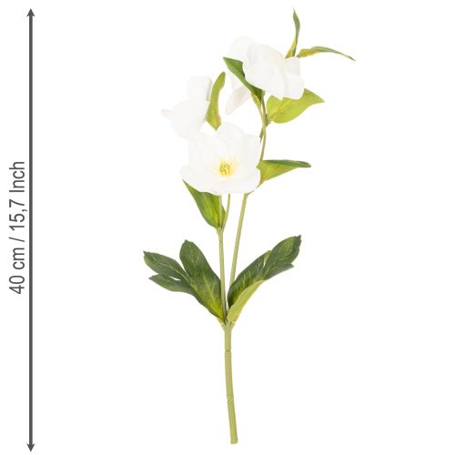 Christrose Künstliche Blume weiß Dekorativer Kunstblumen Bund mit 40cm 4St | Floristik24.de