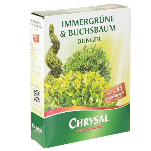Floristik24 Chrysal Dünger Immergrüne & Buchsbaum Dünger 1kg