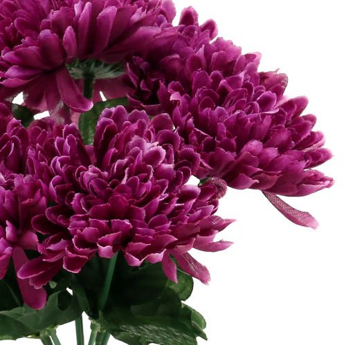 Artikel Chrysantheme Aubergine mit 7 Blüten