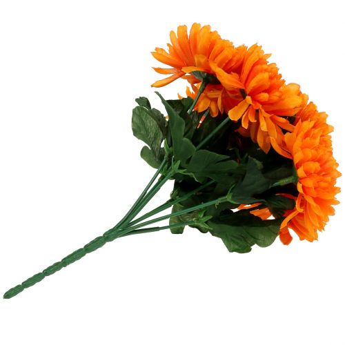 Floristik24 Chrysantheme Orange mit 7 Blüten
