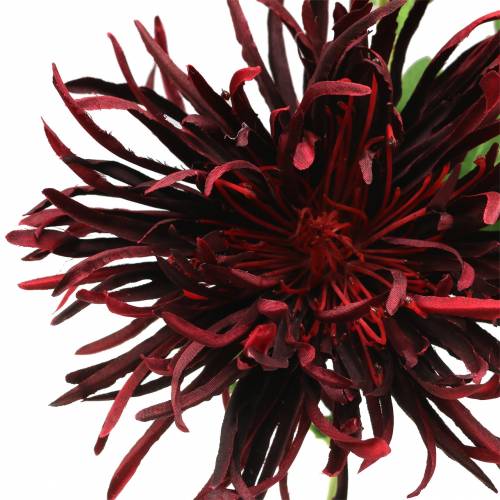 Artikel Chrysantheme Dunkelrot 73cm