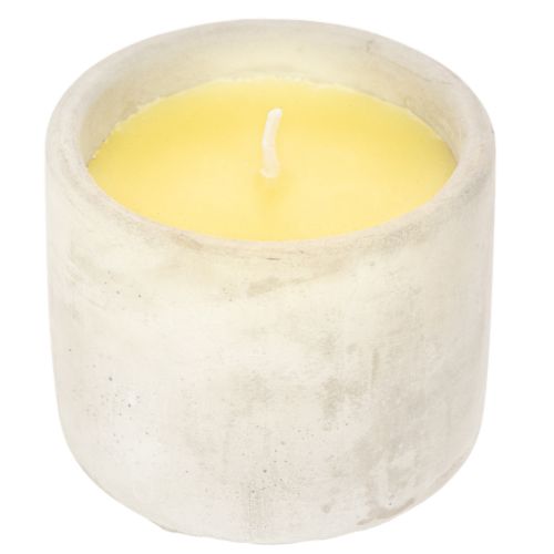 Citronella Kerze im Zement-Topf S 8cm | Floristik24.de