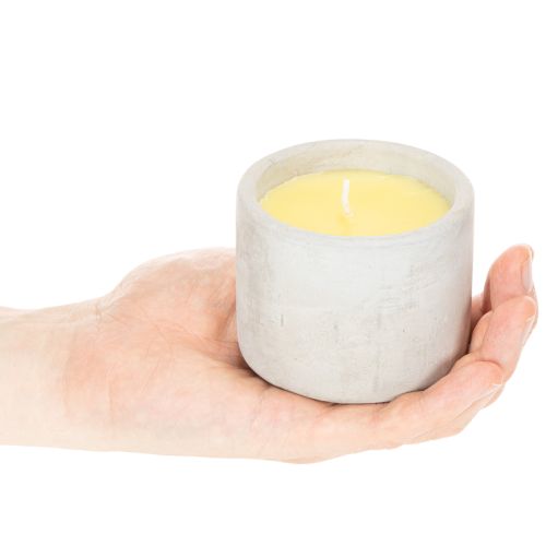 Citronella Kerze im Zement-Topf S 8cm | Floristik24.de
