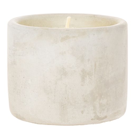 Citronella Kerze im Zement-Topf S 8cm | Floristik24.de