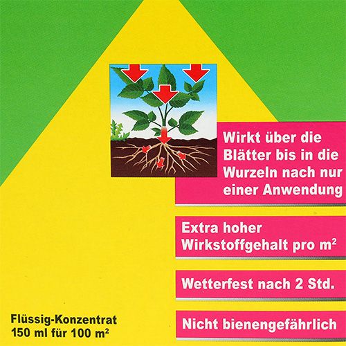 Floristik24 Compo Vorox Gierschfrei 150ml
