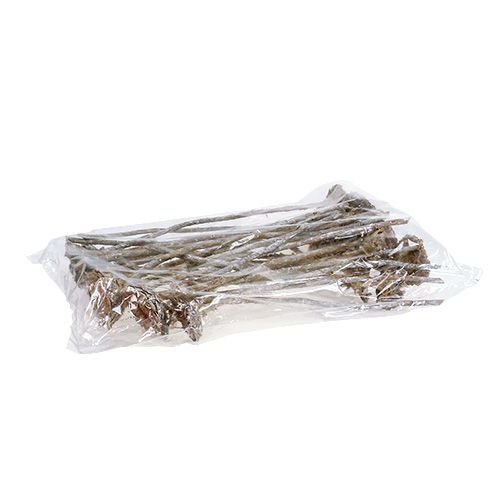 Floristik24 Coronata Rosette 25 St. Weiß gewaschen