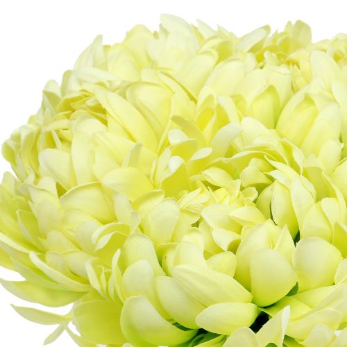 Floristik24.de Strauß aus Creme, Gelb künstlich Chrysanthemen 6St-87549 28cm