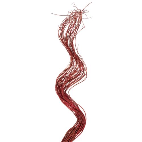 Curly Willow Getrockneter Deko Zweig für kreative Floristik und Wohnaccessoires 80cm 70g