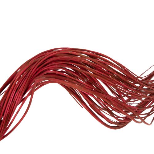 Artikel Curly Willow Getrockneter Deko Zweig für kreative Floristik und Wohnaccessoires 80cm 70g