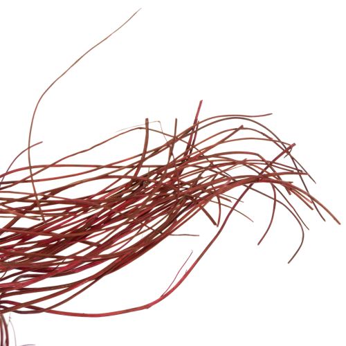 Artikel Curly Willow Getrockneter Deko Zweig für kreative Floristik und Wohnaccessoires 80cm 70g