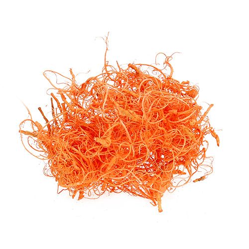 Floristik24 Curly Moos Orange 350g