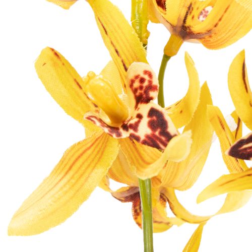Artikel Künstliche Cymbidium Orchidee als Blütenstiel für elegante Dekoration 95cm 2St