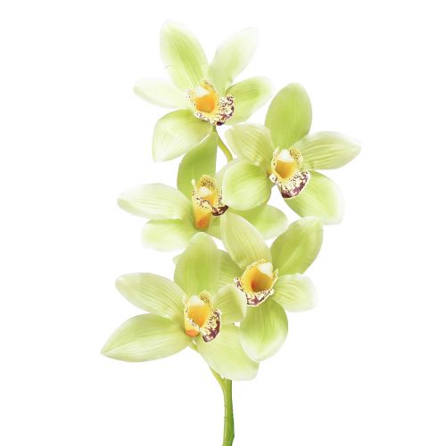 Floristik24 Cymbidium Orchidee künstlich 5 Blüten Grün 65cm