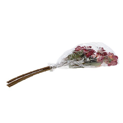 Floristik24 Dahlie Erika Ø10cm L68cm 3St