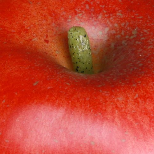 Artikel Deko Apfel Rot Deko Obst Lebensmittelattrappe 9cm
