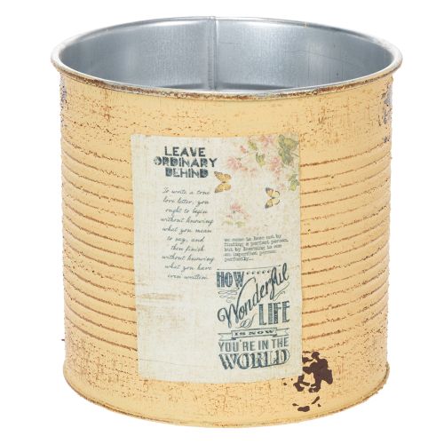 Artikel Deko Dose Apricot Pflanztopf Metall Sommerdeko Ø15,5cm H15cm
