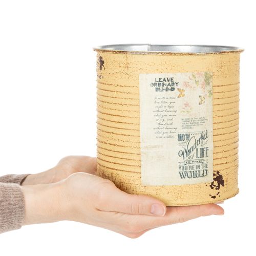 Deko Dose Apricot Pflanztopf Metall Sommerdeko Ø15,5cm H15cm | Floristik24.de