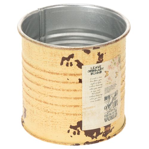 Deko Dose Sommer Apricot Metalldose Pflanztopf Ø8cm H7,5cm | Floristik24.de