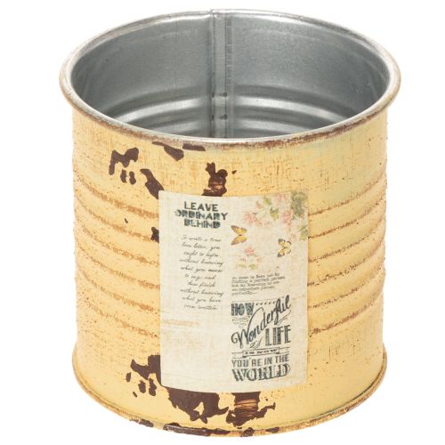 Deko Dose Sommer Apricot Metalldose Pflanztopf Ø8cm H7,5cm kaufen | Floristik24.de