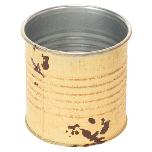 Deko Dose Sommer Apricot Metalldose Pflanztopf Ø8cm H7,5cm | Floristik24.de