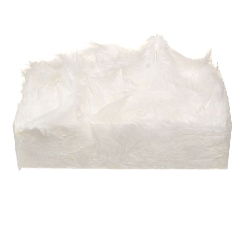 Artikel Deko Federn in Weiß Bastelbedarf Frühling 5–10cm 20g