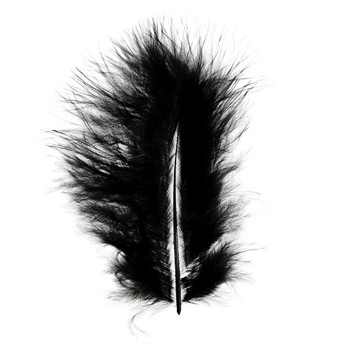 Floristik24 Federn kurz 30g Schwarz