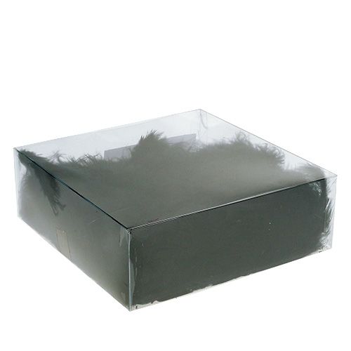 Floristik24 Federn kurz 30g Schwarz