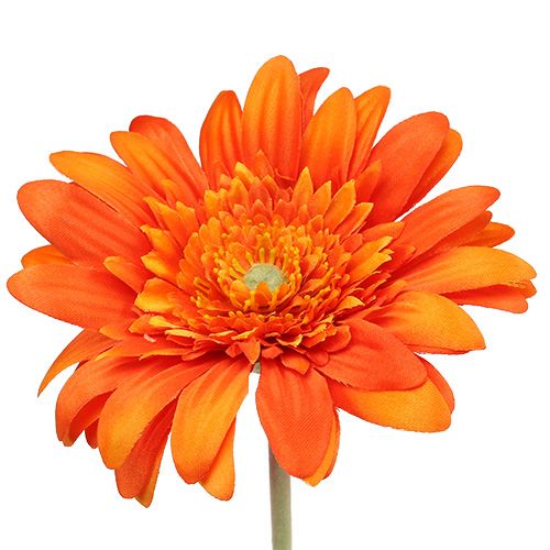 Floristik24 Deko Gerbera Orange Ø10cm L53cm 6St