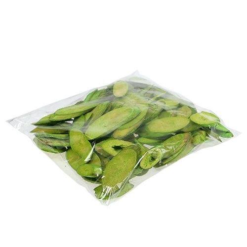 Floristik24 Deko-Holzscheiben Frühlingsgrün 300g