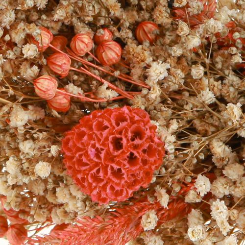 Floristik24 Deko Kranz Trockenblumen Blumenkranz Orange Creme Ø25cm