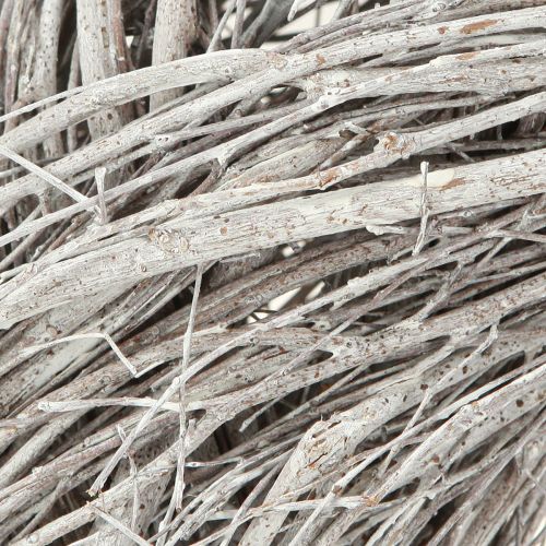 Floristik24 Deko Kranz aus Zweigen Ulme Weißgrau gewaschen Ø35cm