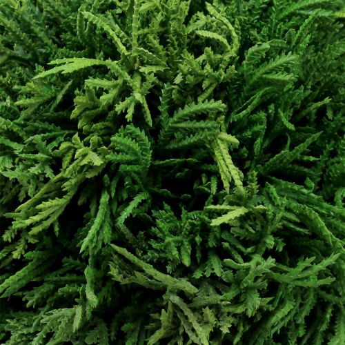 Floristik24 Künstliche Pflanzenkugel zum Hängen Grün Ø20cm