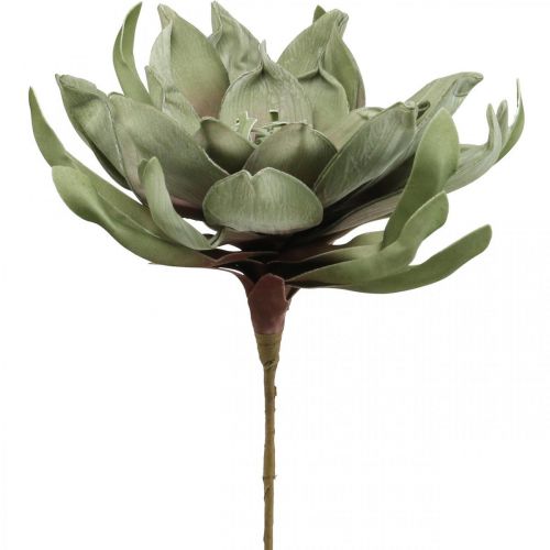 Deko Lotusblüte Künstlich Lotosblume Kunstblume Grün L70cm