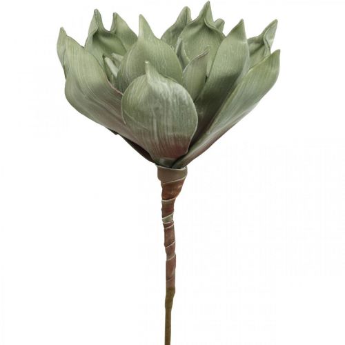 Artikel Deko Lotusblume, Lotusblüte, Seidenblume Grün L64cm