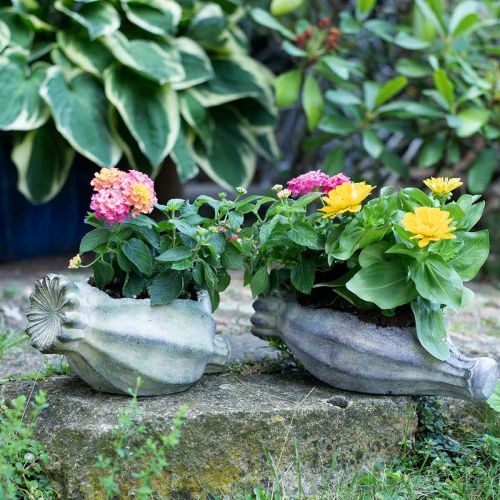 Floristik24 Deko-Mohnkapsel, Pflanzschale aus Beton, Übertopf, Grabdeko L26cm