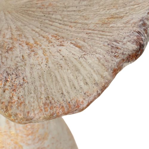 Artikel Deko Pilz Steinguss Herbstdeko Grau gewaschen 19×15cm H23cm
