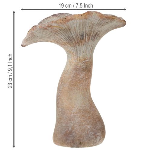 Artikel Deko Pilz Steinguss Herbstdeko Grau gewaschen 19×15cm H23cm