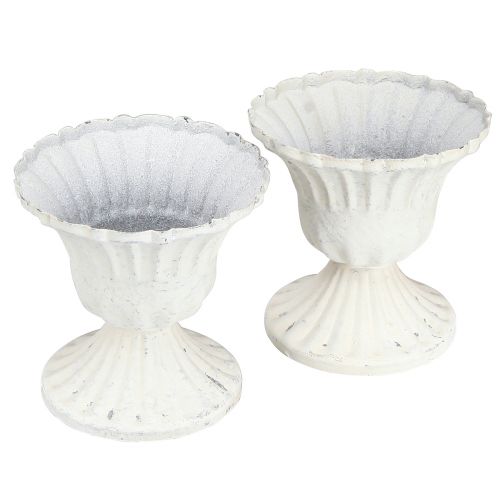 Floristik24 Deko Pokal Shabby Chic Kelch Weiß Ø8cm H8,5cm 2St