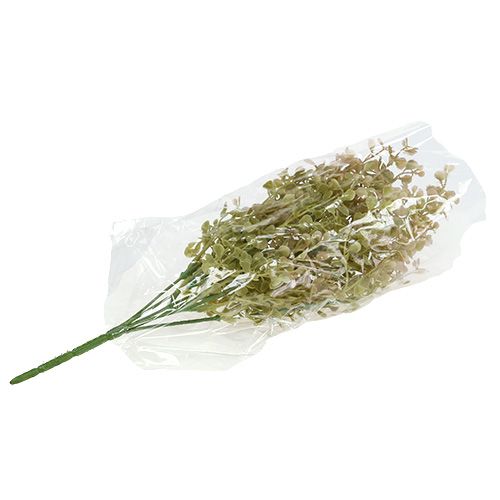 Floristik24 Deko-Zweig Hellgrün 35cm