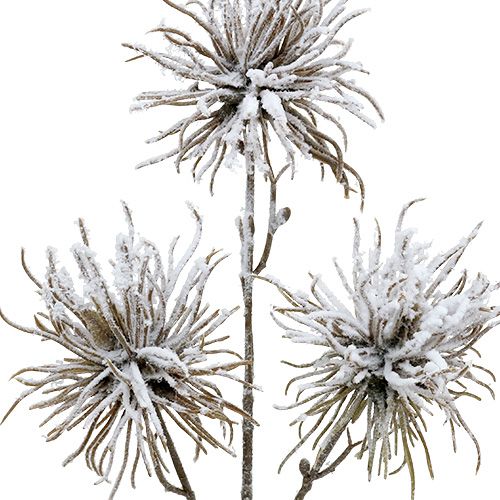 Deko Zweig beschneit 45cm 3St | Floristik24.de