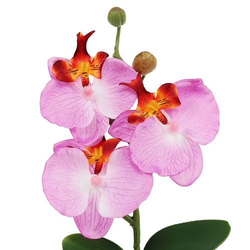 Floristik24 Deko Orchidee im Topf Rosa H29cm
